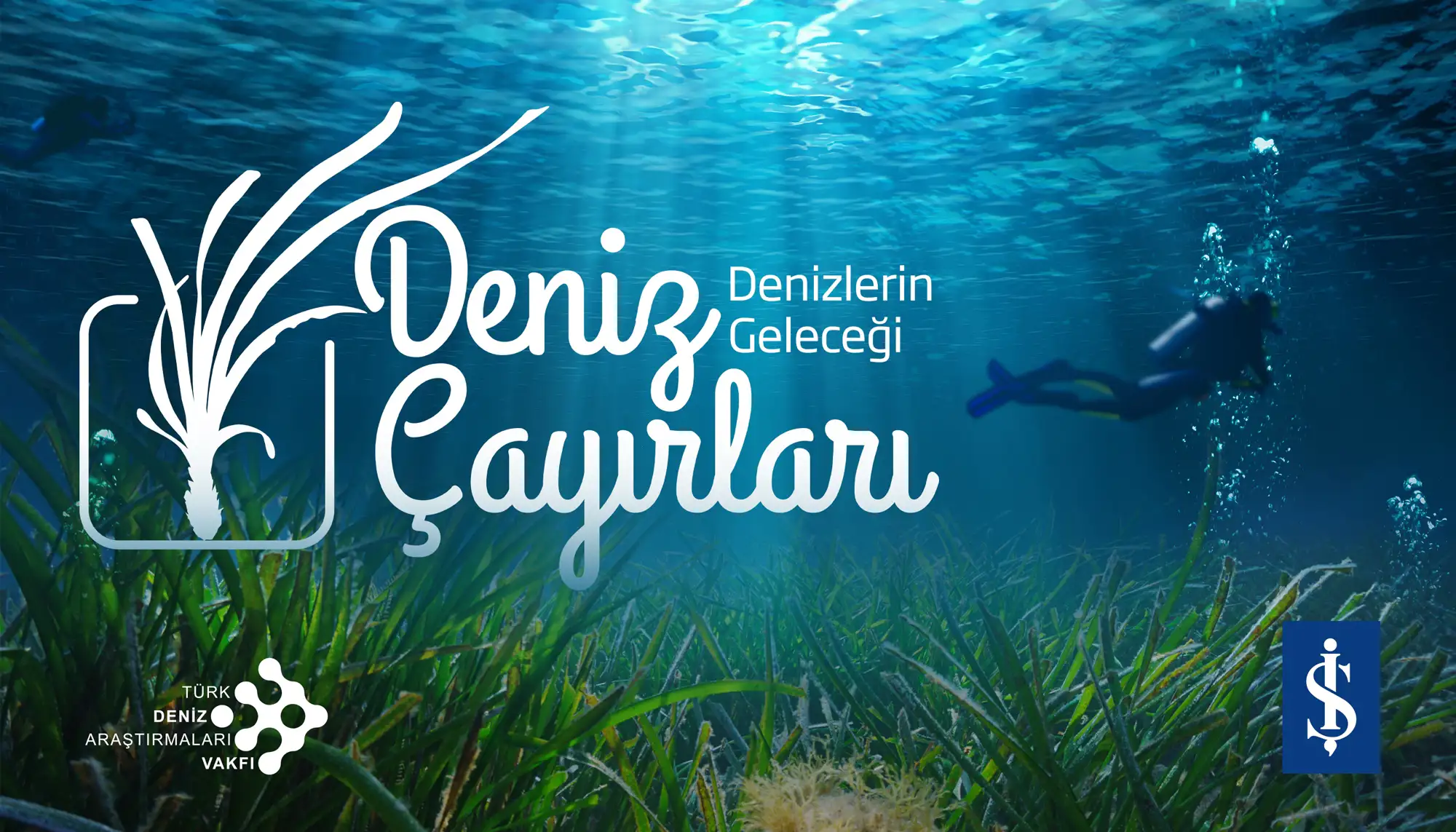 Denizlerin Akciğerleri Çökme Tehlikesiyle Karşı Karşıya: Milyar Dolarlık Ekolojik Tehdit!